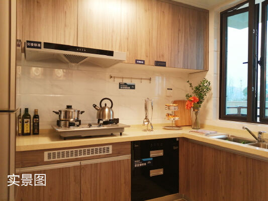碧桂园北站之星样板间图