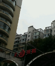 金凤朝阳