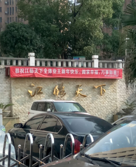 江临天下