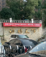 江临天下