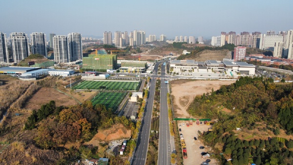 实景图