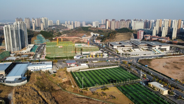 实景图