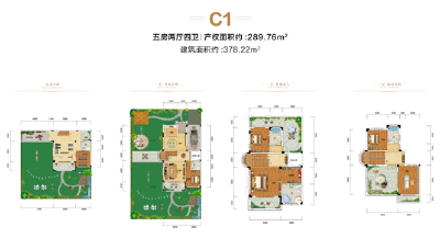 C1户型
