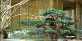 8月家书丨协会会员项目工程进度播报